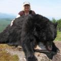 American Huntress Carol with her huge big old Island Bear